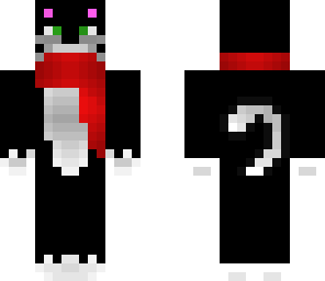 black cat