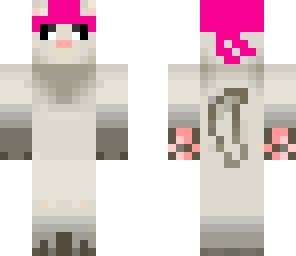 cute pirate ferret