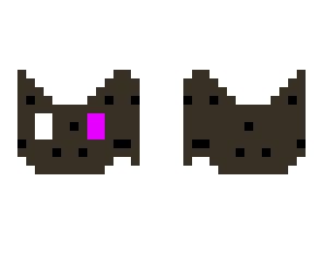 gato galleta