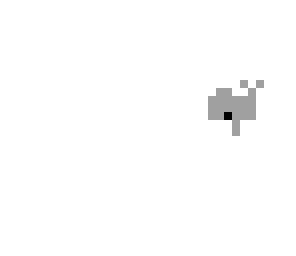 narwhale