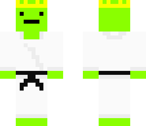 turtlelord ninja