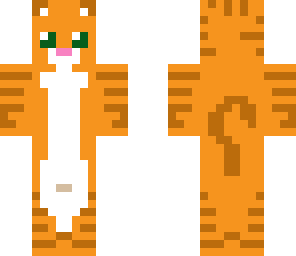 kitty cat