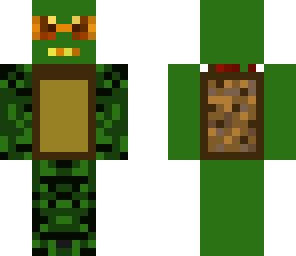 cool turtle