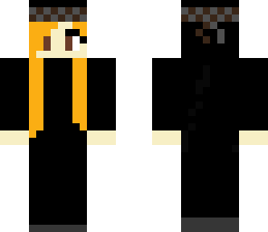 falloutzebra ninja