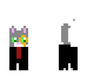fancy cat