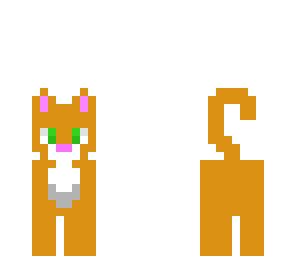 ginger cat