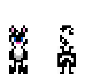 black and white cat