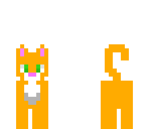 ginger cat