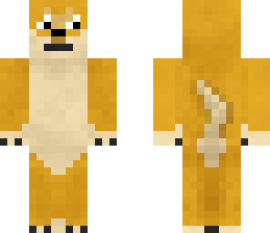 doge