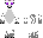 happy white cat