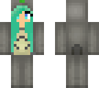 totoro skin