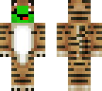 turtle with a tiger costume