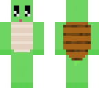 cute turtle