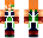 nova bardock