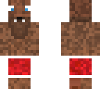 chrismas wolf