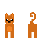 ginger cat