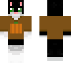 kitty with sweater