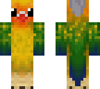 love bird