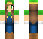 updated luigi skin