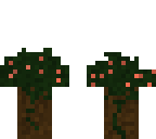 little forest sapling