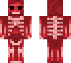 muscular system
