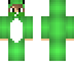 frog ninja