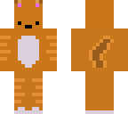 derpy orange cat