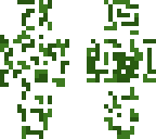 bush