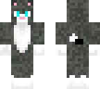 siameese kitty