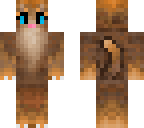 pumkin cat