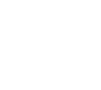 sneky assain skin