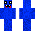 the follower