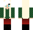 christmas winter skin