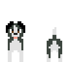 perrito