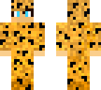 cheetah wonzy