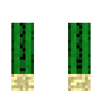 desert disguise