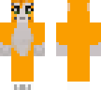 first mc skin