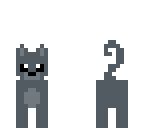 grey cat