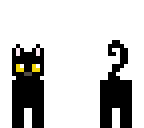 black cat