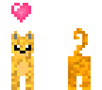 kitten
