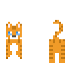 orange tabby