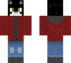 cat with vest