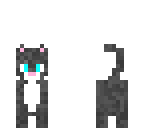 kitty cat