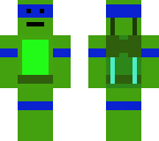 the teenage mutant ninja turtle