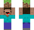 tiny steve