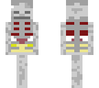minecraft skeleton with organs