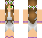 my minecraft skin normal