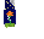 orange rose