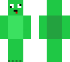 turtle derp