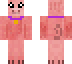 pet pig